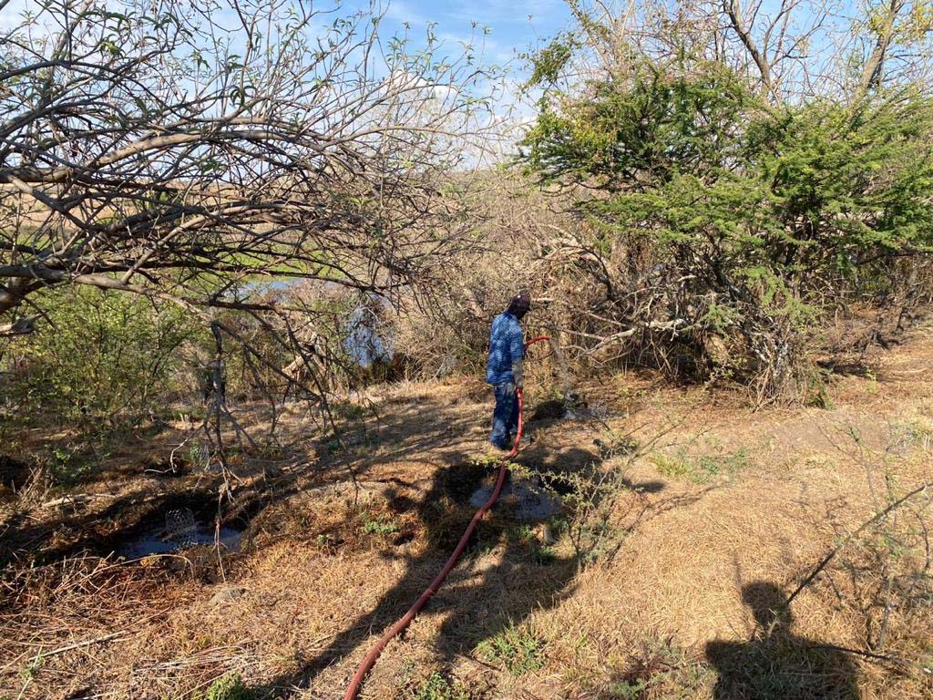 PRAMSEI: Proyectos ambientales en etapas constructivas y operativas (68)